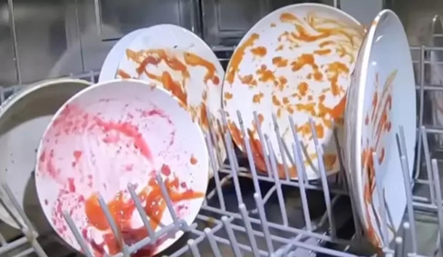 Έβαλε κάμερα στο πλυντήριο πιάτων: Το βίντεο που... εξέπληξε έγινε viral