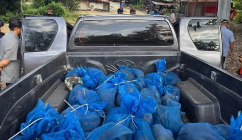 Ταϊλάνδη: Συνελήφθησαν δύο λαθρέμποροι με... 81 πιθήκους και ναρκωτικά  