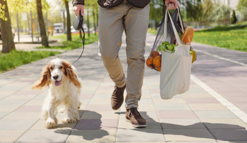 Οι 3 τρόποι για να κάνετε τις βόλτες με τον σκύλο σας πιο ενδιαφέρουσες