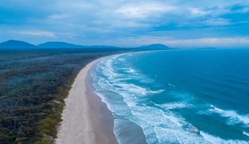 Τρεις επιθέσεις καρχαριών στο Σίδνεϊ, «lockdown» στις παραλίες
