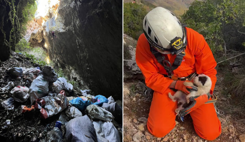 Κτηνωδία στο Πήλιο: Πέταξαν κουτάβια σε γκρεμό 20 μέτρων, σώθηκε ένα που προστάτεψαν σακούλες σκουπιδιών, δείτε βίντεο