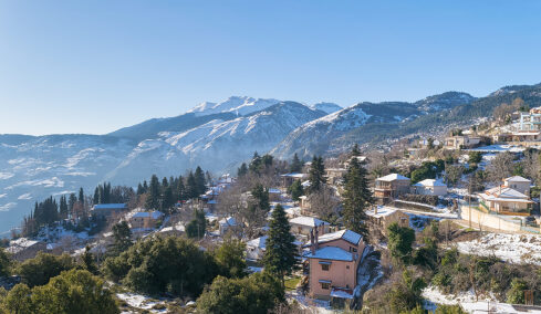 Χριστούγεννα στα Τρίκαλα Κορινθίας