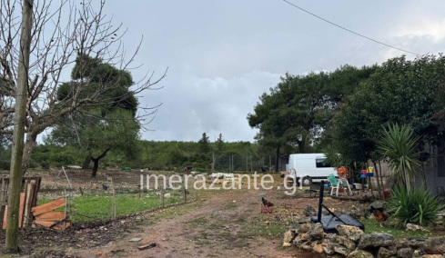 Η οικογένεια είχε βρει αδέσποτο το πίτμπουλ και το φιλοξενούσε μέχρι να δοθεί για υιοθεσία: Πώς έγινε η τραγωδία με τον 2χρονο στη Ζάκυνθο