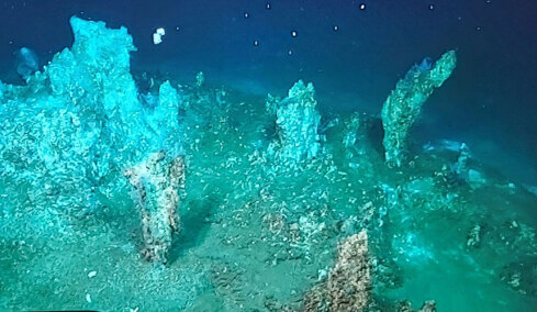 «Μείναμε έκπληκτοι από την ποικιλία και την ομορφιά»: Άγνωστα υποθαλάσσια υδροθερμικά πεδία αποκαλύπτει έρευνα στη Μήλο