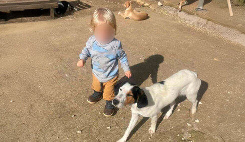 Πριν από 10 μέρες είχε γενέθλια ο μικρός Λίο που σκοτώθηκε από το πίτμπουλ στη Ζάκυνθο - Στην προστασία των ζώων είχε αφιερώσει τη ζωή της η οικογένεια