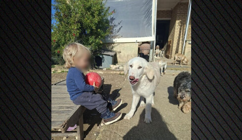 Τραγωδία στη Ζάκυνθο: «Το πίτμπουλ τρόμαξε από πυροβολισμούς κυνηγών και κατασπάραξε τον Λίο» λέει η μητέρα του δίχρονου