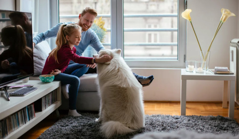 Νικήστε τη μελαγχολία του χειμώνα όπως οι Σκανδιναβοί – Δείτε πώς το πετυχαίνουν
