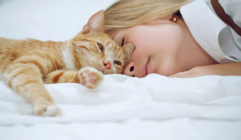 Γιατί αρέσει στις γάτες να κοιμούνται κοντά στο πρόσωπό μας;