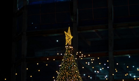 Παρίσι: Η κωμικοτραγική ιστορία του χριστουγεννιάτικου δέντρου που θύμιζε sex toy
