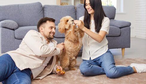 Μπορεί ένα κατοικίδιο να σώσει έναν γάμο; Ποια είναι η πραγματικότητα