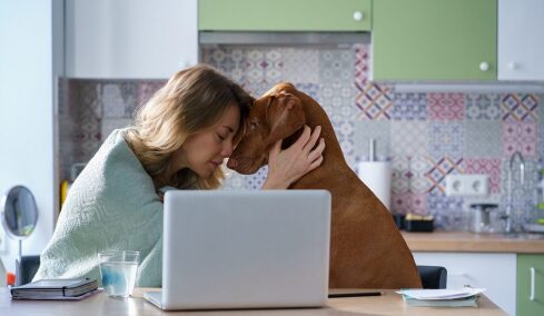 Τι νιώθουν οι σκύλοι όταν μας βλέπουν να κλαίμε