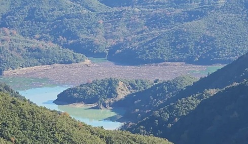 Άρτα: Χιλιάδες κορμοί δέντρων έχουν καλύψει τη λίμνη Πουρναρίου μετά τις ισχυρές βροχοπτώσεις