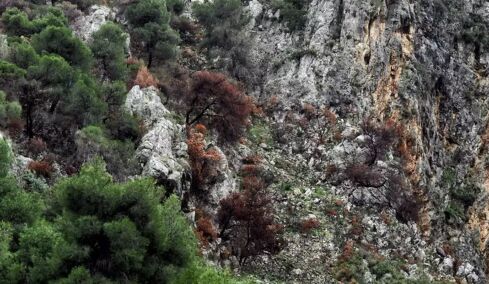 Ανθρώπινος σκελετός που ανήκει σε μία από τις δύο εξαφανισμένες Γαλλίδες τουρίστριες εντοπίστηκε στη Σίκινο