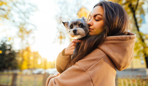 Σε αυτή τη χώρα για να υιοθετήσετε σκύλο πρέπει να δώσετε γραπτές εξετάσεις