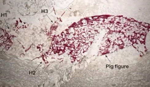 Η αρχαιολογική ανακάλυψη του αιώνα: Το έργο τέχνης 51.200 ετών που αλλάζει όσα ξέραμε για την ανθρωπότητα