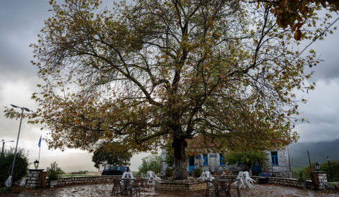 Αποστολή στο Πωγώνι -Κάτω Μερόπη: Επισκεφθήκαμε το καφενείο όπου χτυπά η καρδιά του χωριού