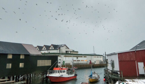 Το νησί που κατάργησε τον χρόνο, οι κάτοικοι ζουν χωρίς ρολόγια και ωράριο
