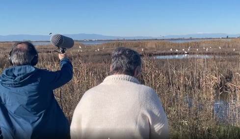 Πώς «ακούγονται» το Δέλτα του Αξιού και η λίμνη Ορεστιάδα; Ερευνητικό έργο καταγράφει τα ηχοτοπία στα δύο οικοσυστήματα
