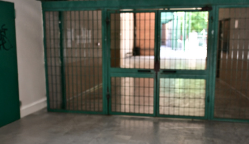 Καταγγελία για λεκτική κακοποίηση από φιλόλογο λυκείου στην Αγία Παρασκευή που χρησιμοποιεί τη μέθοδο «ανεστραμμένη τάξη»: Μαθητές κλαίνε στην τάξη