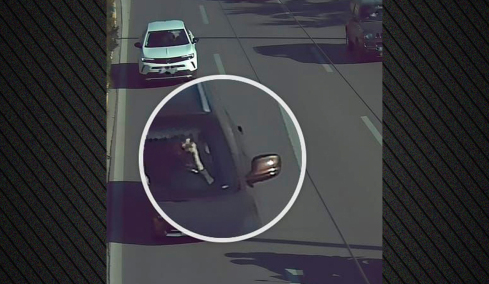 «Έπιασαν δουλειά» στους δρόμους οι 8 κάμερες ΑΙ που λειτουργούν πιλοτικά, πάνω από 1.000 παραβάσεις σε 4 ημέρες