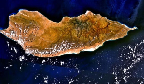 Σοκότρα: Το απρόσιτο νησί ανάμεσα σε δύο ηπείρους με τοπία σαν πίνακας του Νταλί