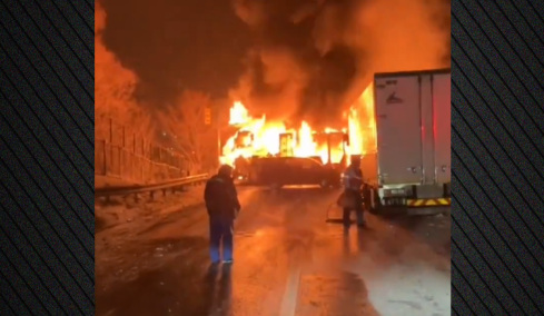 iaponia-karampola-HOR