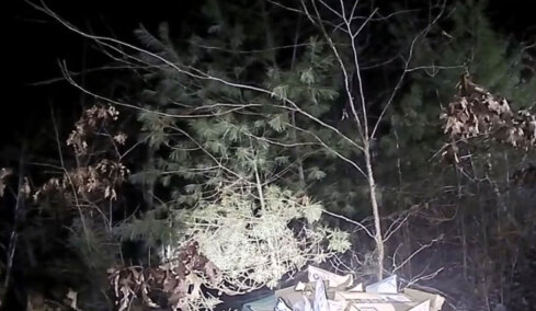 Δεκάδες δέματα με Χριστουγεννιάτικα δώρα βρέθηκαν πεταμένα σε δάσος
