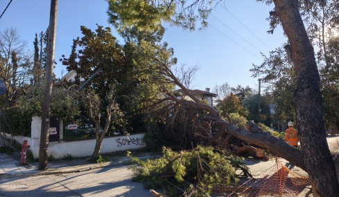 Οι ισχυροί άνεμοι σάρωσαν την Κεντρική Μακεδονία: 710 κλήσεις στην πυροσβεστική, 141 κοπές δέντρων στη Θεσσαλονίκη