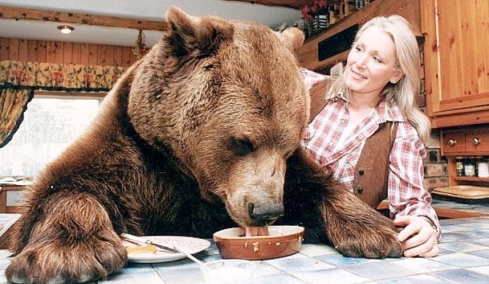 Η απίστευτη ιστορία του Ηρακλή, μίας αρκούδας 400 κιλών που μεγάλωσε ως «γιος» ζευγαριού: Έτρωγαν μπέργκερ και έπιναν μπίρες όλοι μαζί