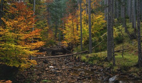 Βάλια Κάλντα: Eκεί όπου η Φύση ξυπνά τις αισθήσεις