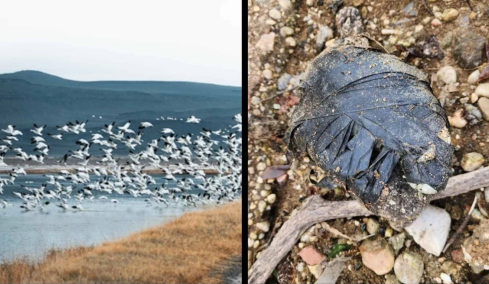 Τύπος ανακάλυψε ανατριχιαστικό πακέτο σε λίμνη της Νέας Υόρκης μετά την πτώση της στάθμης του νερού

