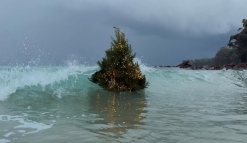 Η ιστορία πίσω από το χριστουγεννιάτικο δέντρο που έγινε viral
