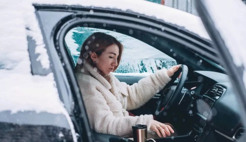 Ηλεκτρικό και χιονιάς: «Θα με φάνε οι λύκοι;»
