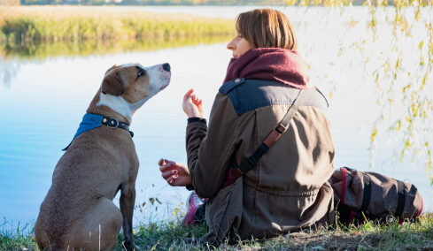 Τι ακούει ο σκύλος μας όταν του μιλάμε