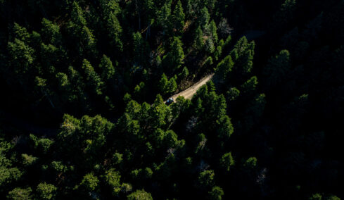 Αποστολή στην Ευρυτανία: Bόλτα με buggy στα ελατοδάση του Τυμφρηστού
