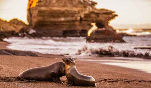Γκαλαπάγκος: Πώς θα κάνουμε αυτό το ταξίδι-όνειρο ζωής με σεβασμό στο περιβάλλον
