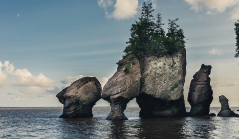 Η περιοχή όπου οι μεγαλύτερες παλίρροιες στον κόσμο αποκαλύπτουν νησιά, φάλαινες και απολιθώματα 300 εκατ. ετών