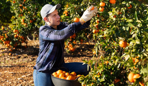 Πώς θα προστατεύονται οι Έλληνες παραγωγοί και τα 21 ελληνικά ΠΟΠ προϊόντα στη Συμφωνία Mercosur