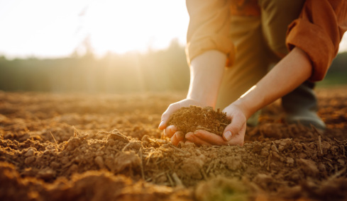 Είδε ένα σύρμα να βγαίνει από το χώμα: Το τράβηξε και κατέληξε σε έναν εντυπωσιακό θησαυρό 3.000 ετών
