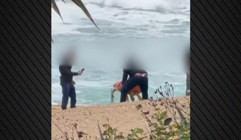 Συνελήφθησαν οι υπάλληλοι που κλωτσούσαν και πετούσαν το κουφάρι θαλάσσιας χελώνας στην Κύπρο
