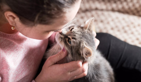 Αναρωτιέστε αν είστε ο αγαπημένος άνθρωπος της γάτας σας; Να πώς θα το καταλάβετε