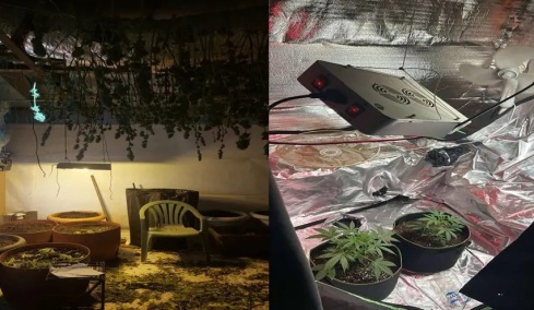 Εξαρθρώθηκε από το ελληνικό FBI εγκληματική οργάνωση για καλλιέργεια και διακίνηση κάνναβης στη Ρόδο 
