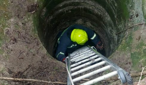 Πυροσβέστες έσωσαν σκύλο που έπεσε σε πηγάδι βάθους επτά μέτρων στη Λάρισα