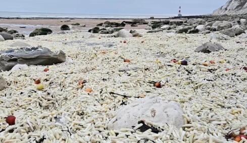 Χιλιάδες τηγανητές πατάτες και κρεμμύδια ξεβράστηκαν σε ακτή στη Βρετανία

