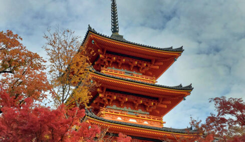 
Ιαπωνία: Η Γκέισα της Άπω Ανατολής -Παράδοση, τέχνη και μυστήριο