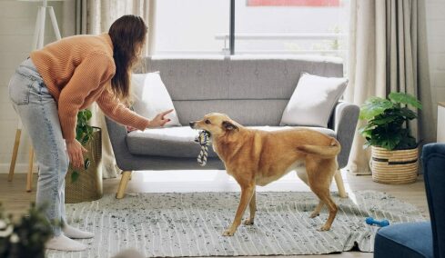 4 σοβαρά λάθη που δεν πρέπει να κάνετε όταν διορθώνετε μια άσχημη συμπεριφορά του σκύλου σας