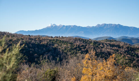 Απολαμβάνοντας την ομορφιά του Πάρνωνα: Kάναμε μια διαδρομή από τη Βαμβακού στον Άγιο Πέτρο