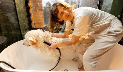 Παθαίνει ο σκύλος σας zoomies μετά το μπάνιο; Αυτοί είναι οι πιο πιθανοί λόγοι