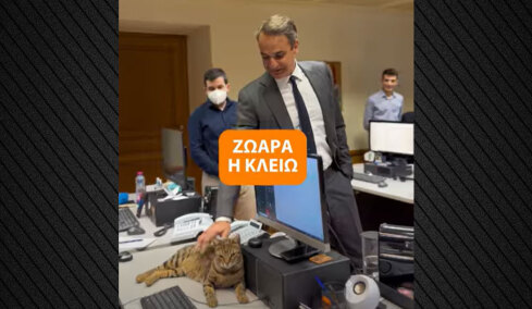 «Στο βασίλειο της Κλειώς δεν έχει θέση ο Peanut»: Ο Μητσοτάκης παρουσιάζει τη γάτα που εγκαταστάθηκε στο Μαξίμου