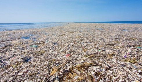 Το «νησί» που δεν θα έπρεπε να υπάρχει: Πώς τα σκουπίδια δημιούργησαν ένα επικίνδυνο οικοσύστημα στον Ειρηνικό Ωκεανό